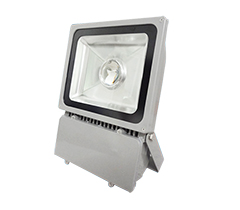 100Wխ����LEDͶ���