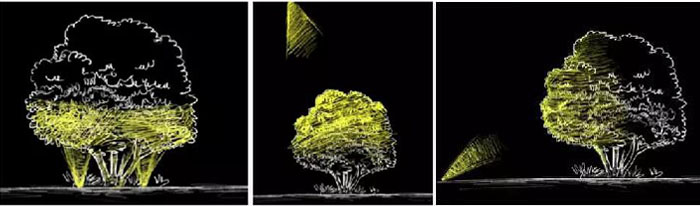 �и߆�ľ�������ʾ��D