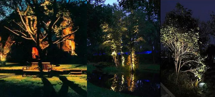 �ߴ��ľ����ҹ������Ч���D