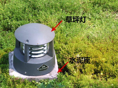 �����ƺ�����bЧ���D01