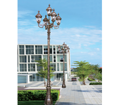 �V��5��¹�ɰ�T�XͥԺ��