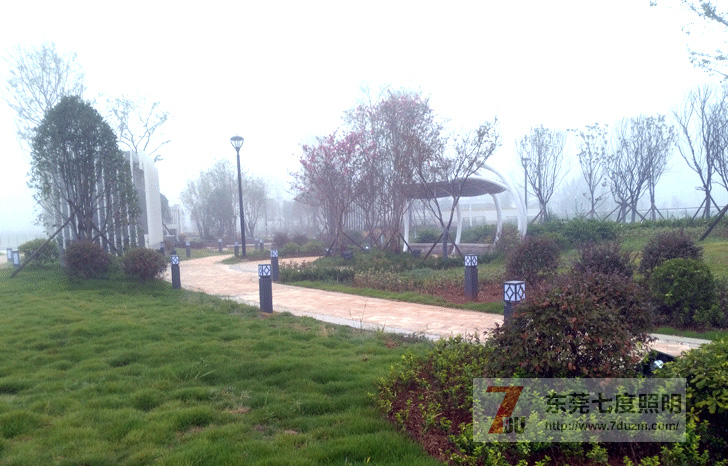 �|ݸ�߶�������ƺ�����b����Ч�������DƬ