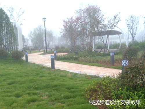 �V��(ch��ng)���@�@�ֲ��е�·�ؾ���ƺ�����bЧ��