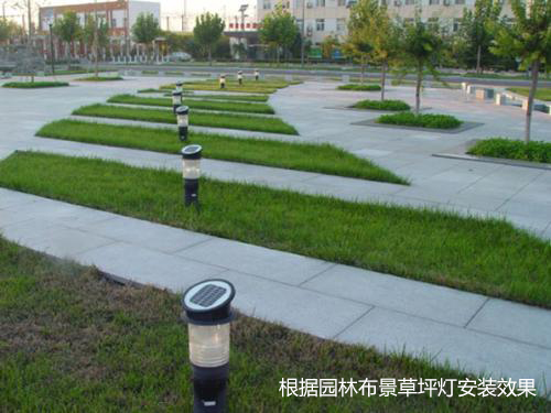 ����(j��)���@�@�־��^��ƺ�����bЧ��