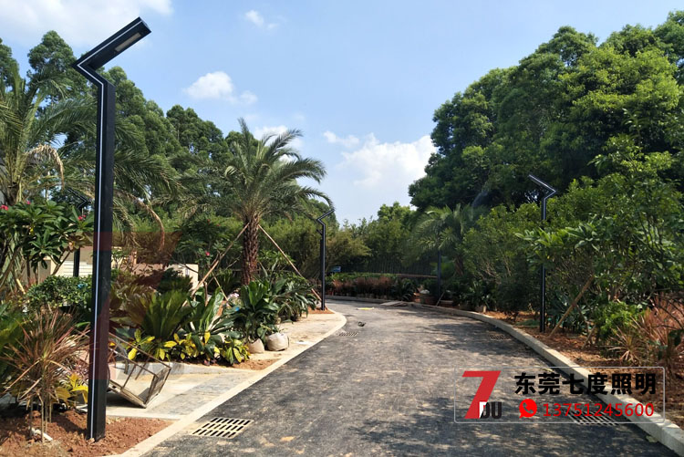 ����F��LEDͥԺ��@�^(q��)�����ɂȰ��b����