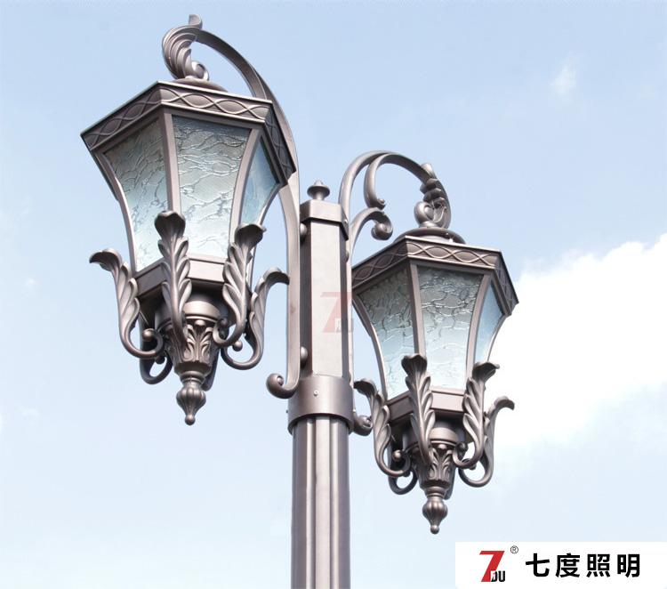 �p�^���T�X�¹ŚWʽͥԺ���^�Ŵ���